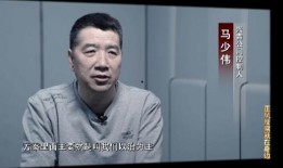 马少伟最新爆料新闻,揭秘娱乐圈惊人内幕