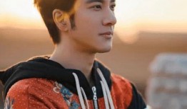 李靓蕾爆料王力宏事件视频,真相与争议交织